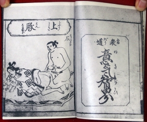 03-154 好色訓蒙図彙　コピー01 in 臥遊堂沽価書目「所好」三号